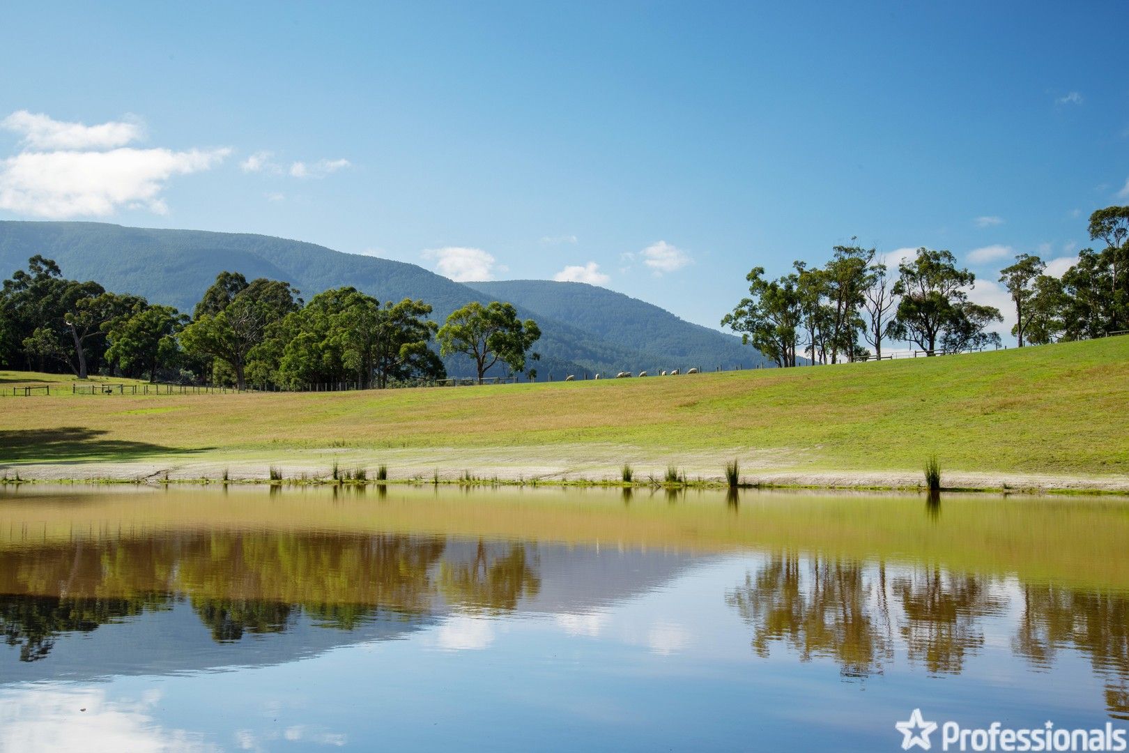 305 Station Road, Wesburn VIC 3799 House for Sale 2,200,000