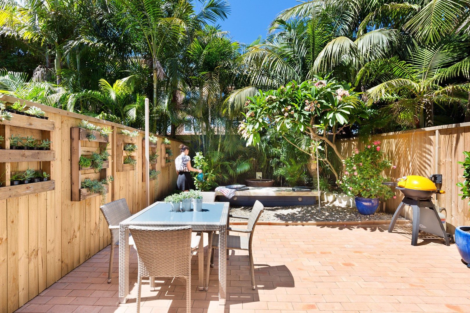 3/262 Pittwater Road, Manly NSW 2095, Image 0