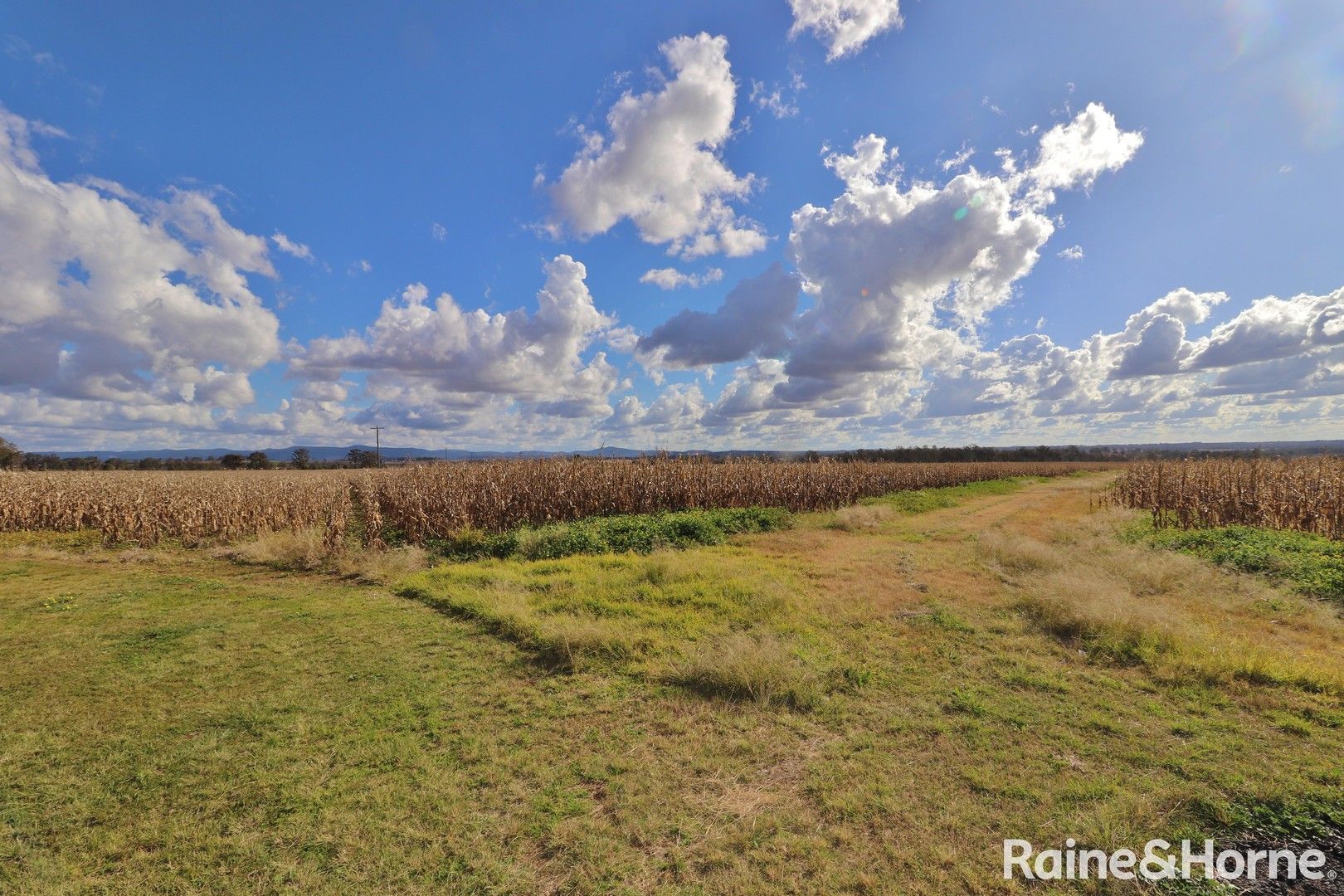 984 Ellesmere Rd, Haly Creek QLD 4610, Image 0