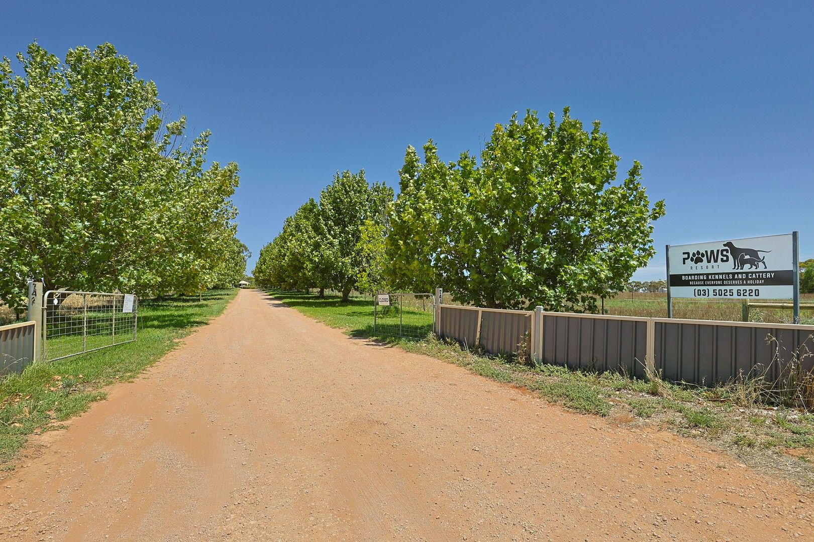 242 Oak Avenue, Birdwoodton VIC 3505 House for Sale Domain