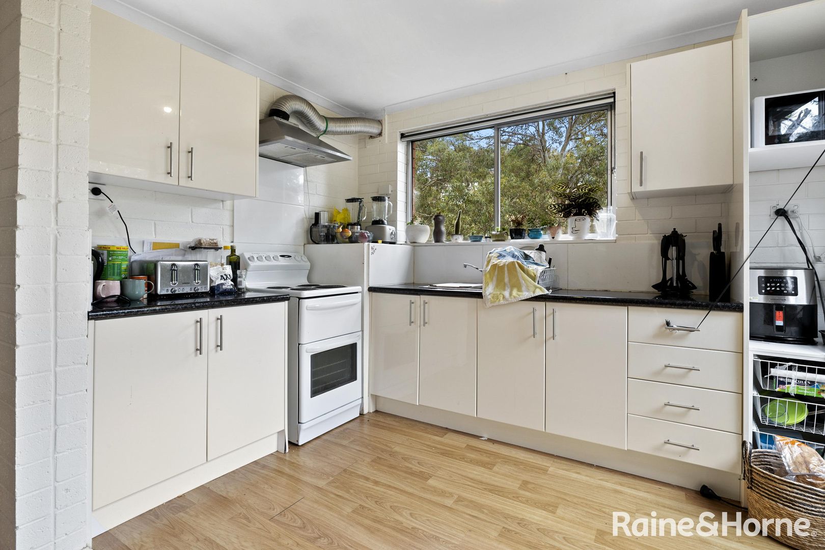 3/11 Dalkeith Court, Sandy Bay TAS 7005 Apartment For Rent 440