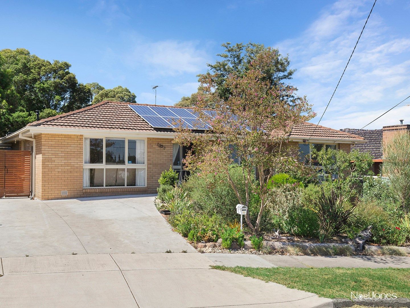 19 Cyprus Avenue, Nunawading VIC 3131, Image 0