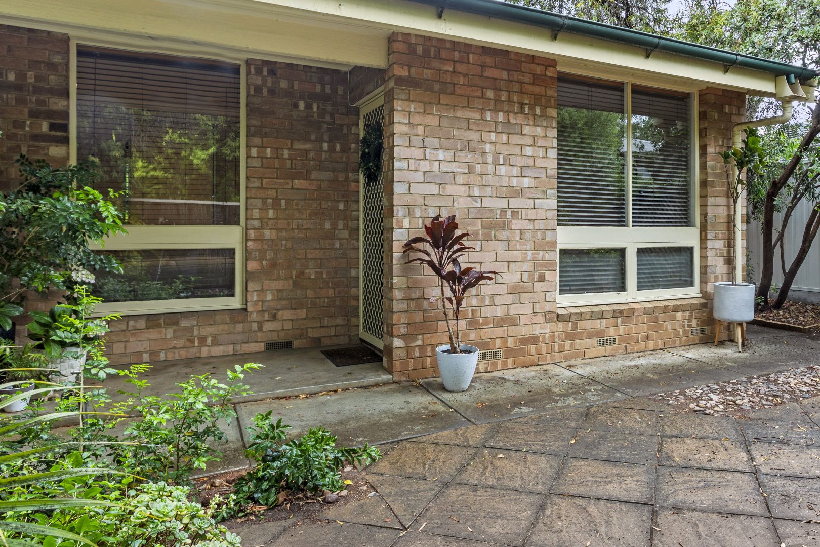 1/4 Cleve Street, Norwood SA 5067 Apartment For Rent Domain