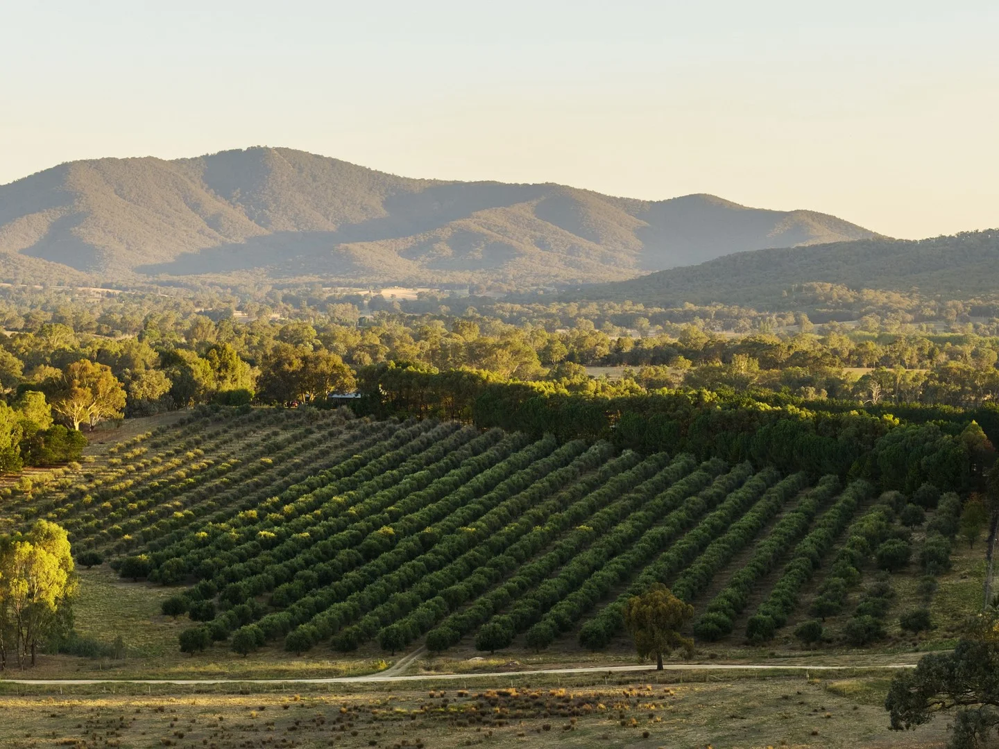 2490 Samaria Road, Moorngag VIC 3673