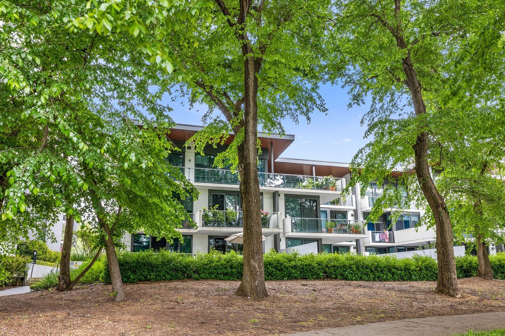 37/18 Austin Street, Griffith ACT 2603 Apartment For Rent Domain