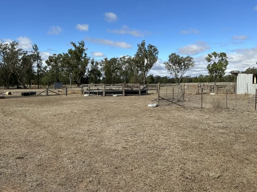 Image 10