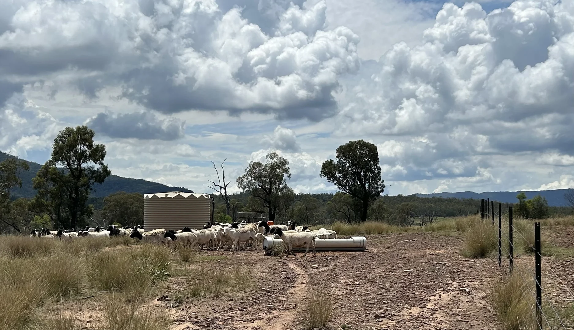 Image 11