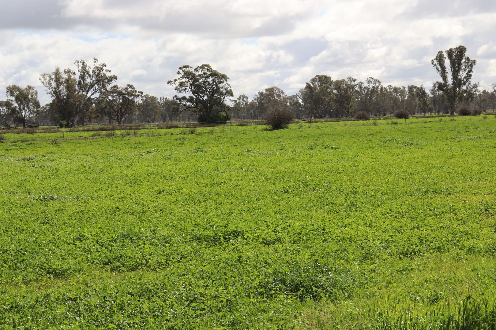 127 Orr's Road, Gannawarra VIC 3568, Image 1