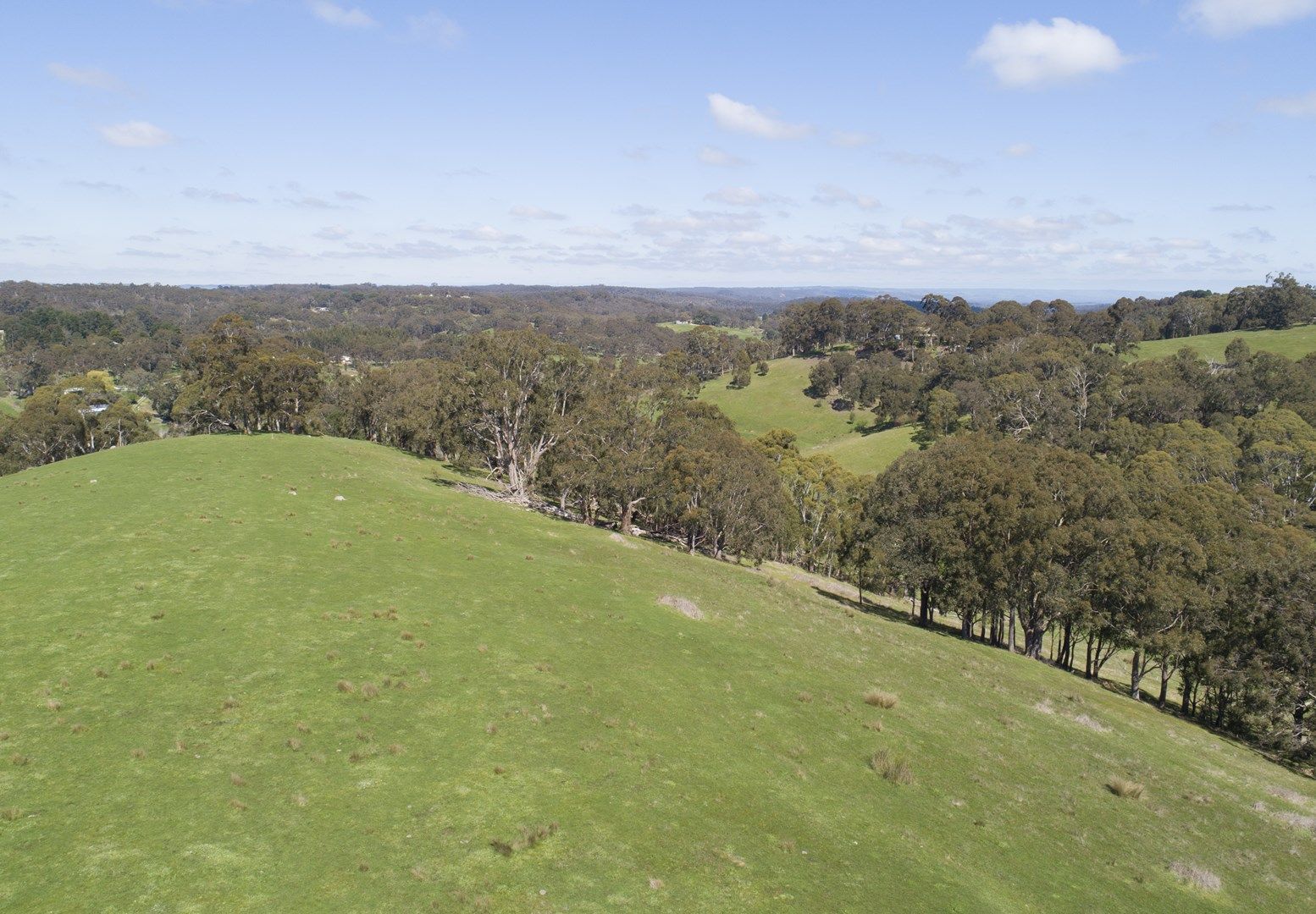 Lot 12 Morgan Rd, Ironbank SA 5153, Image 0