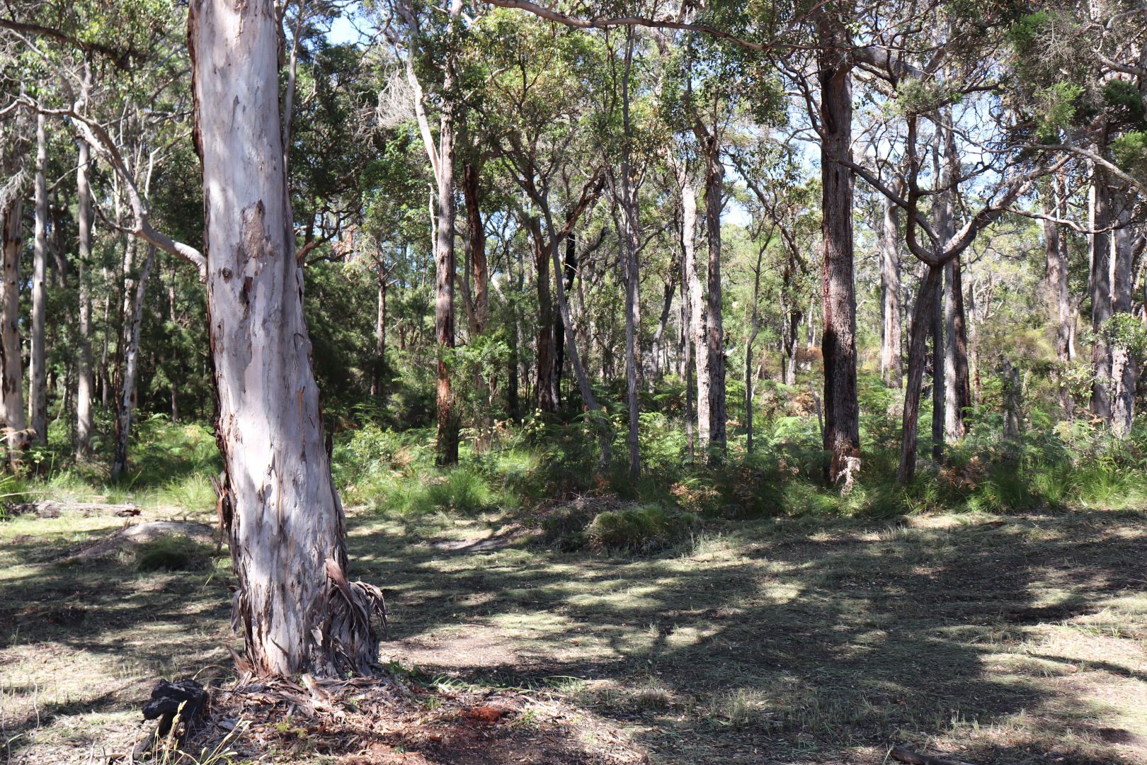 10 Inlet Drive, Denmark WA 6333 Vacant Land for Sale Domain