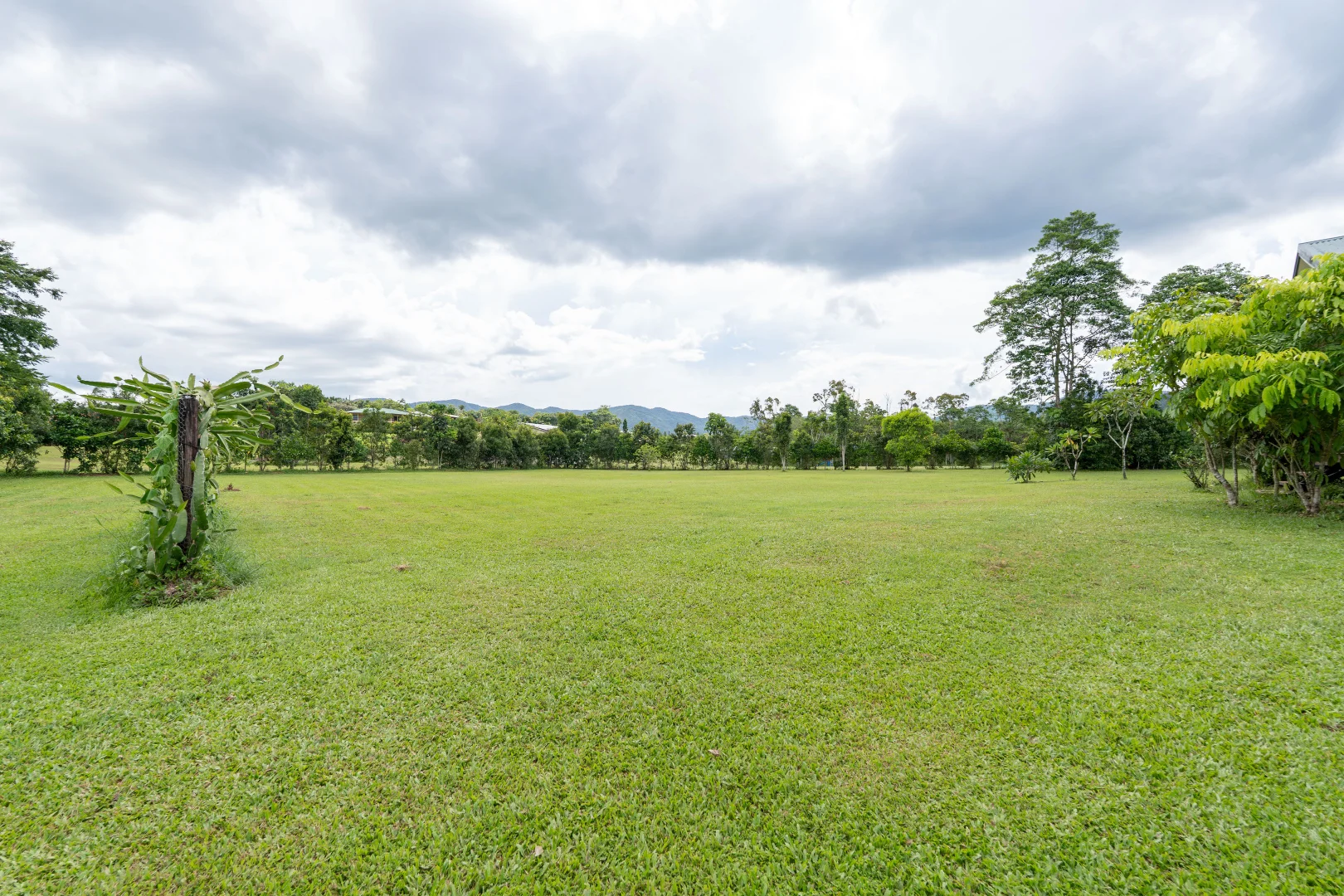 Image 36