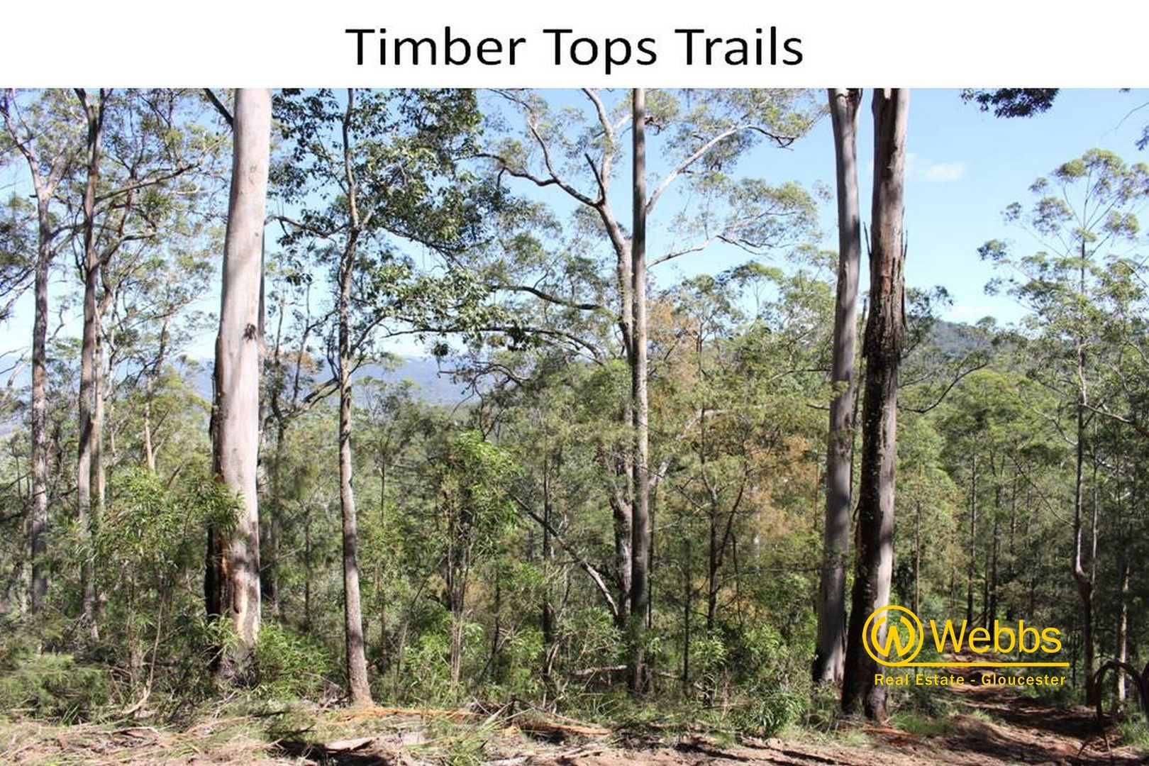 Proposed Lot 106 Mud Hut Road, Gloucester NSW 2422, Image 2