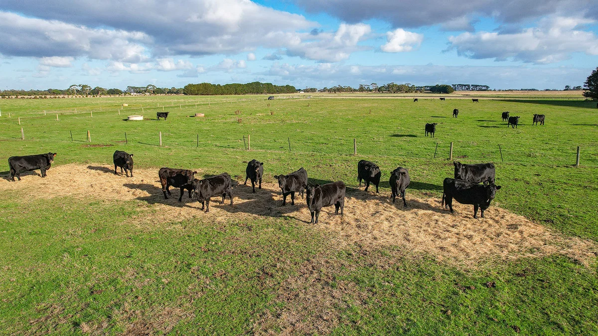 Additional image 15 of 59 Gapes Road, Winslow VIC 3281