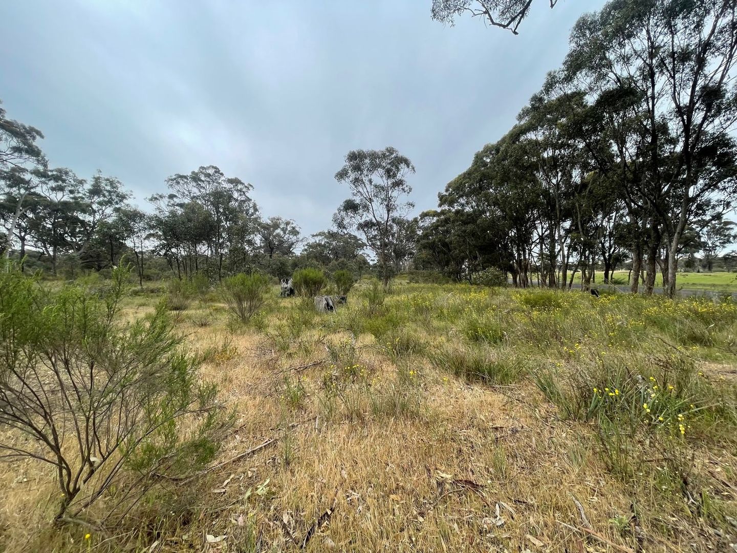 755 BendigoMaldon Road, Walmer VIC 3463 Vacant Land for Sale 685,000
