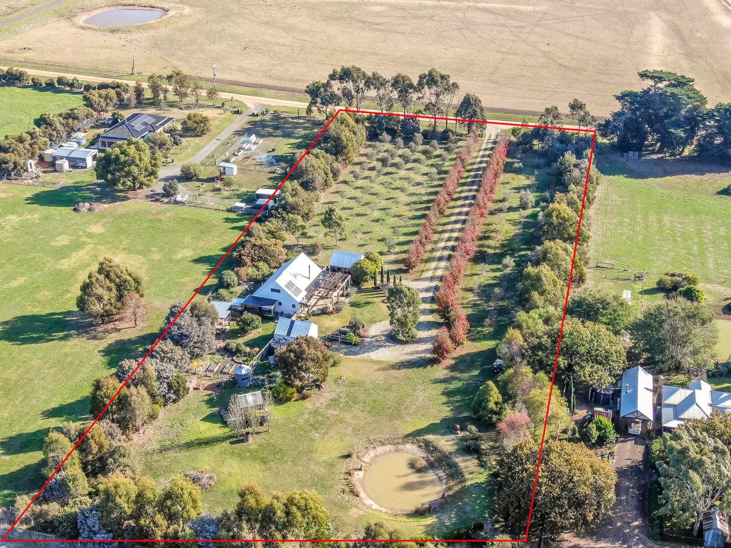 52 Roseneath Road, Warncoort VIC 3243, Image 0