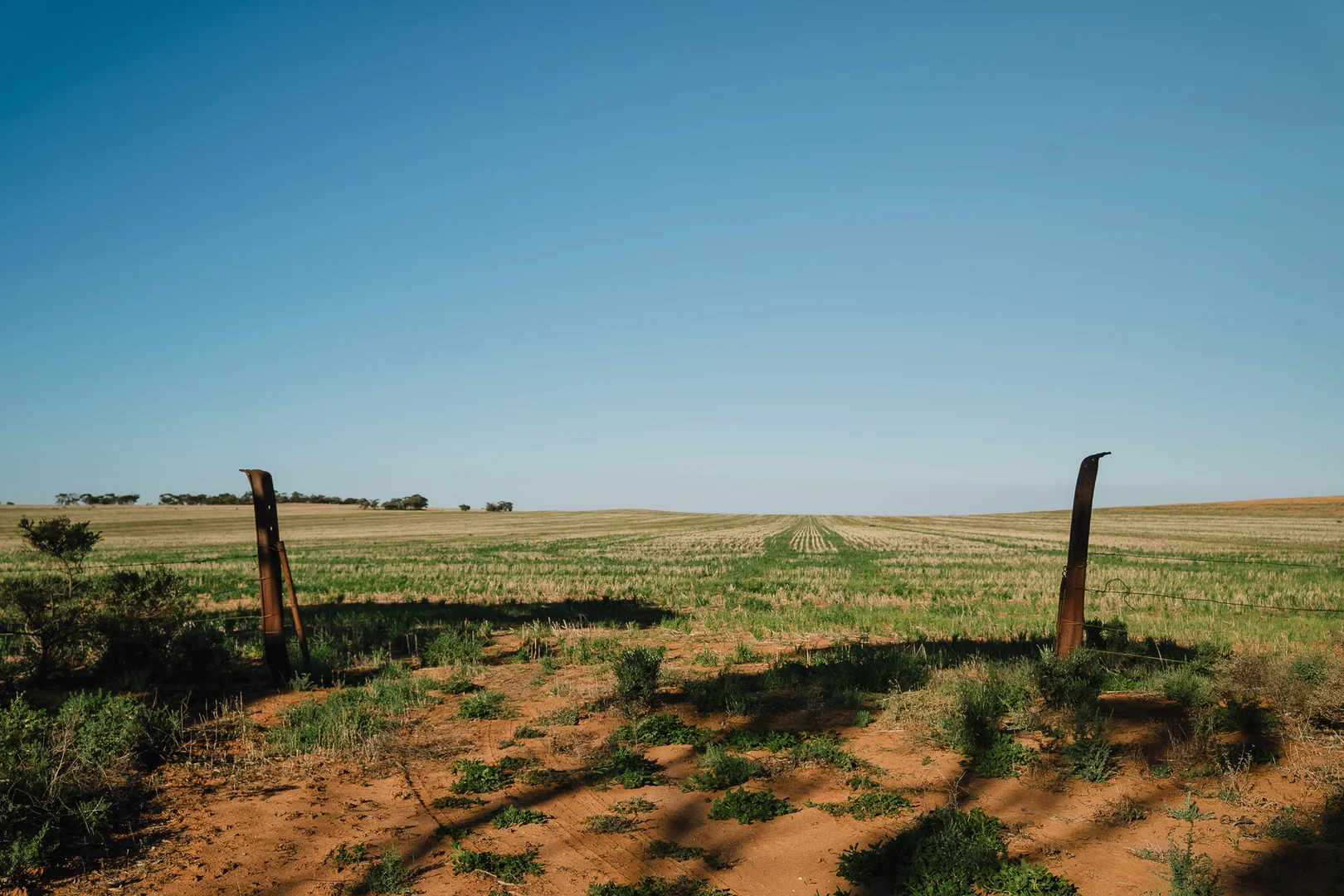 Image 12