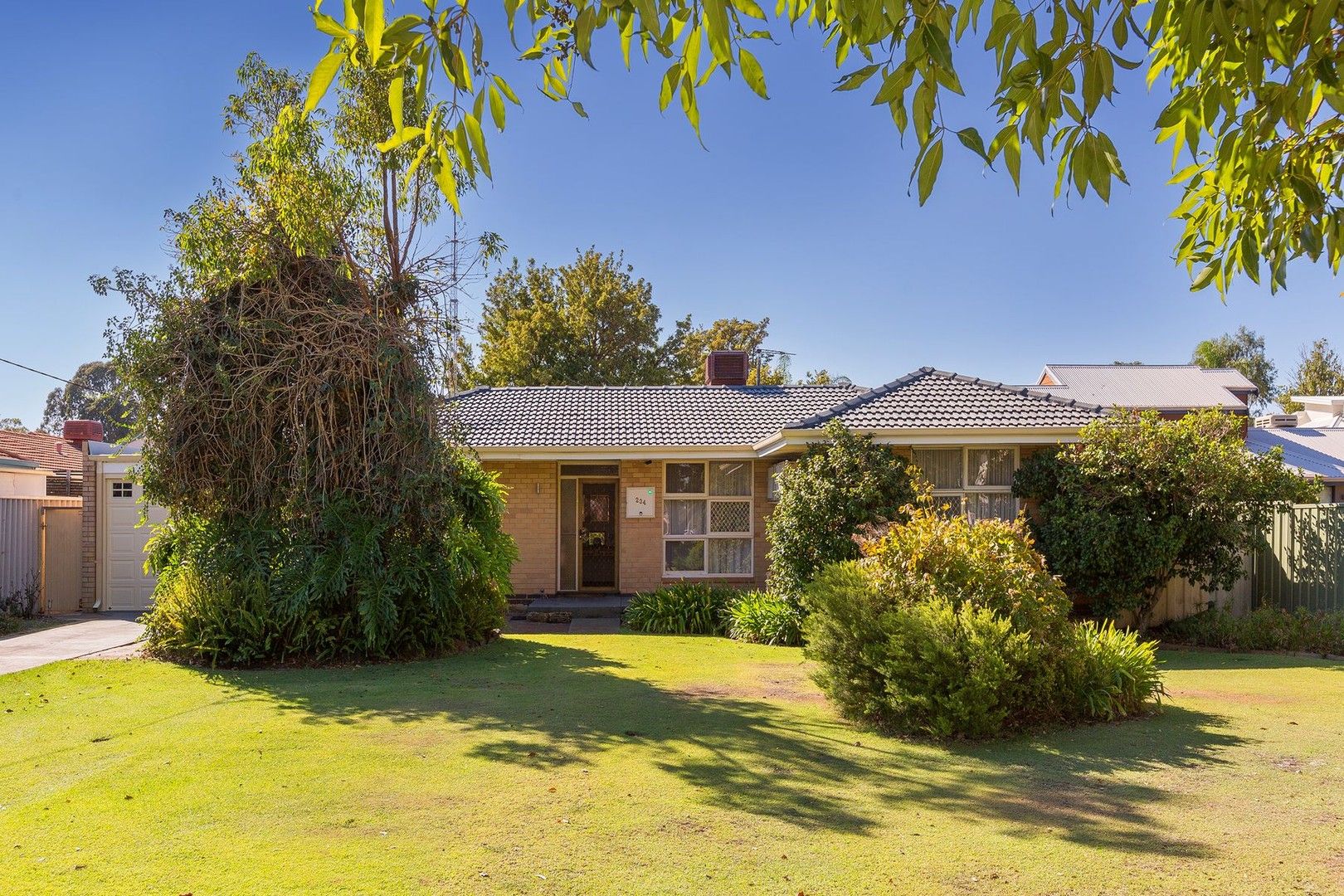 234 Corinthian Road East, Riverton WA 6148, Image 1