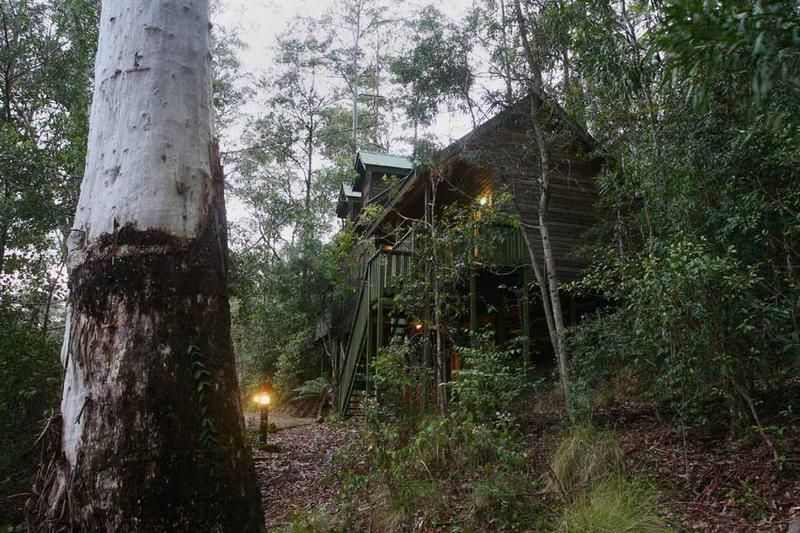 Cabin 10 Barrington Wilderness Cabins, DUNGOG NSW 2420, Image 1