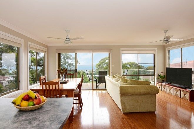 326 Real Estate Properties For Sale In Vincentia Nsw 2540 Domain