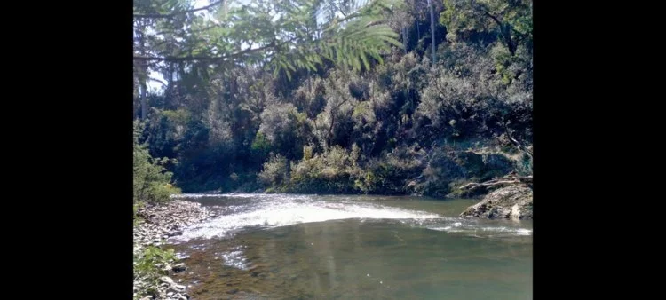 Additional image 5 of Somerset TAS 7322