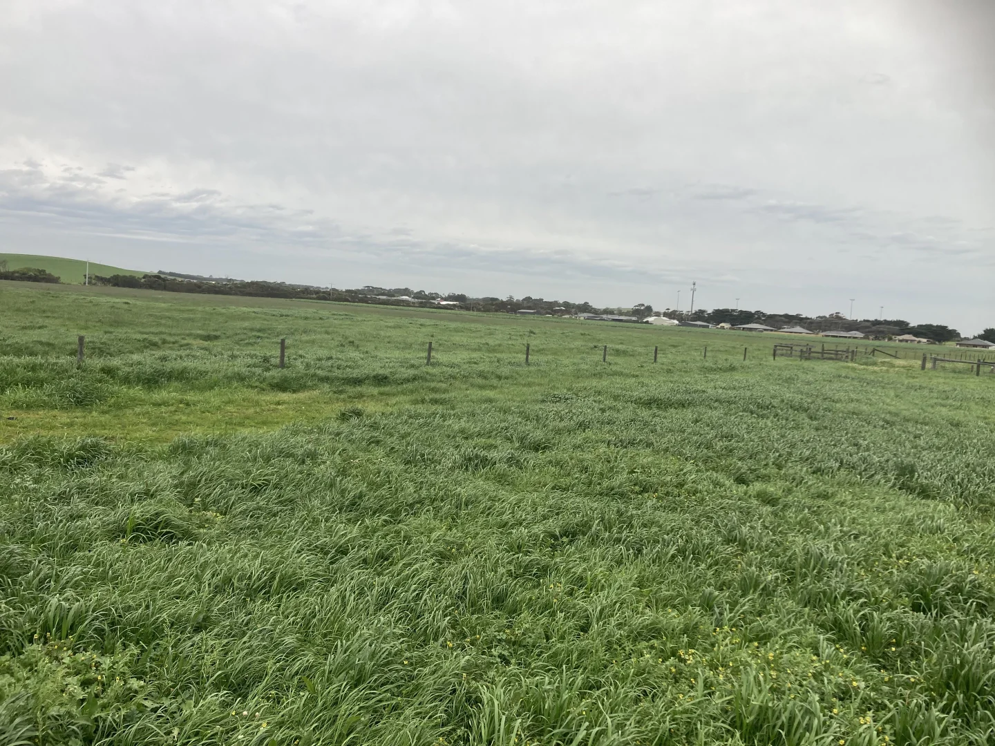 Image 13
