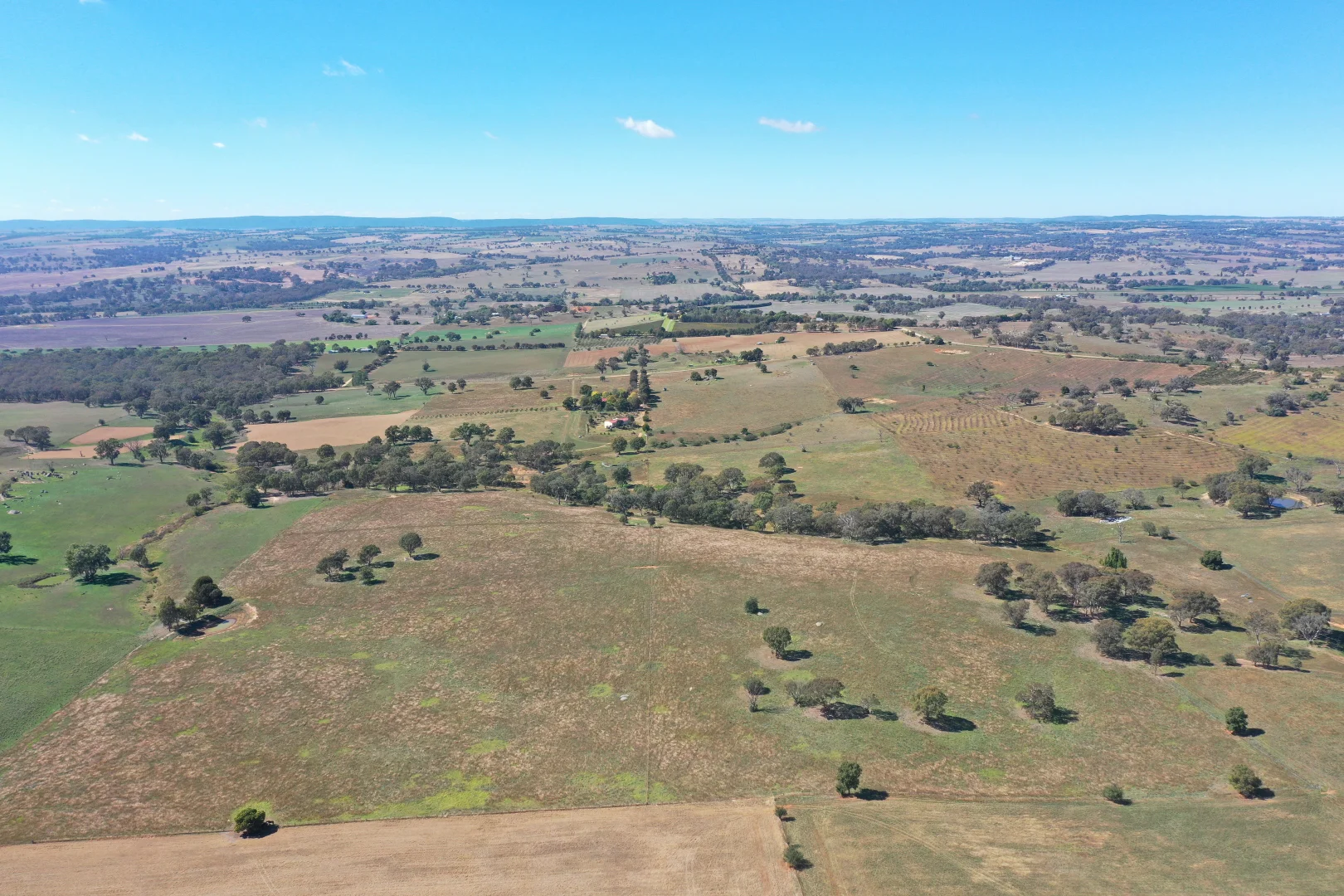 Additional image 17 of 216 Good Friday Gully Road Maimuru via, Young NSW 2594