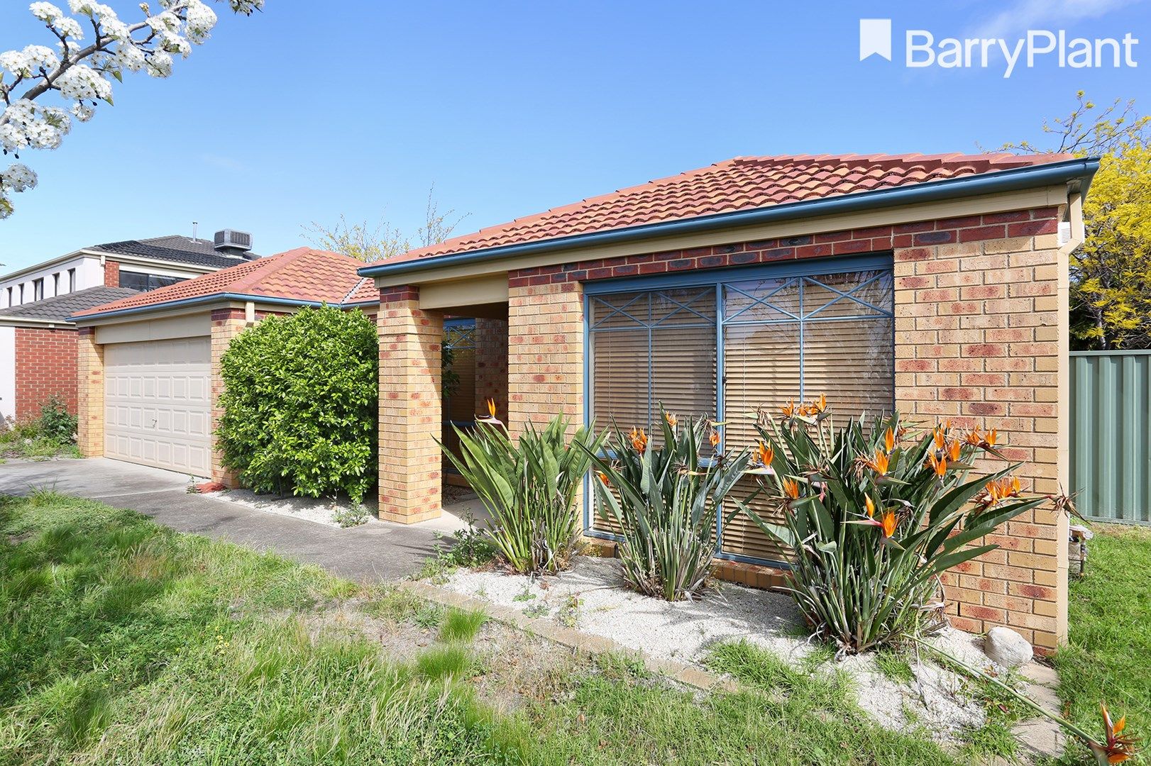 19 Livorno Lane, Point Cook VIC 3030, Image 1