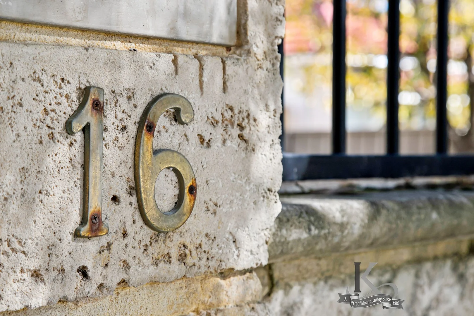 Image 27