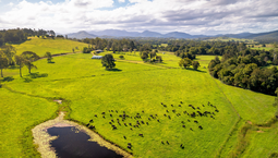 Picture of 1456 Rollands Plains Road, BALLENGARRA NSW 2441