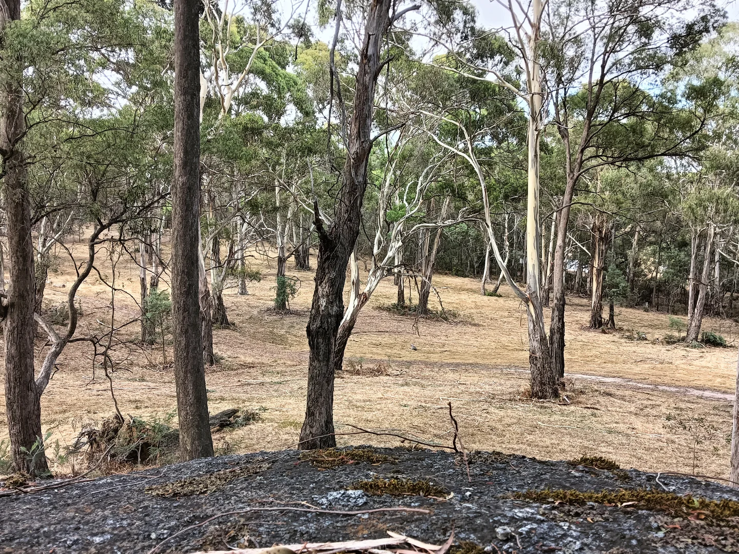 Image 23