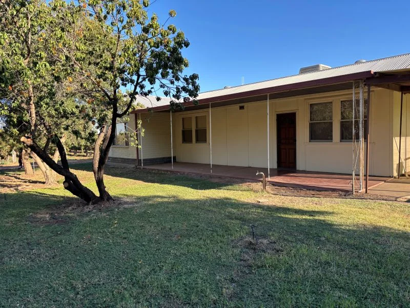 497 Ral Ral Avenue, Renmark SA 5341