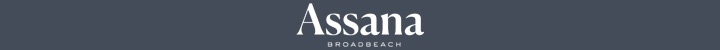 Branding for Assana