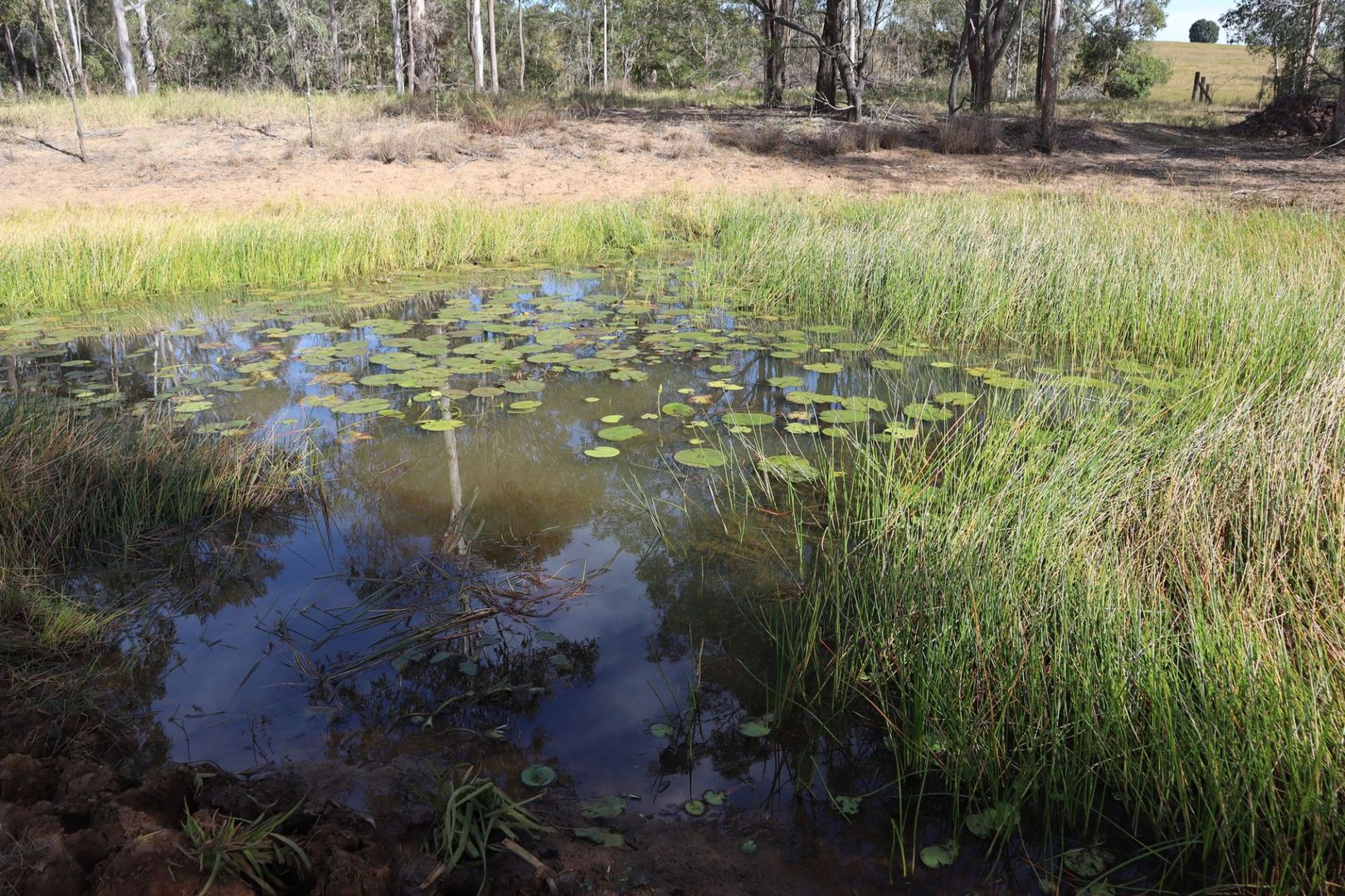 Bells Bridge QLD 4570, Image 1