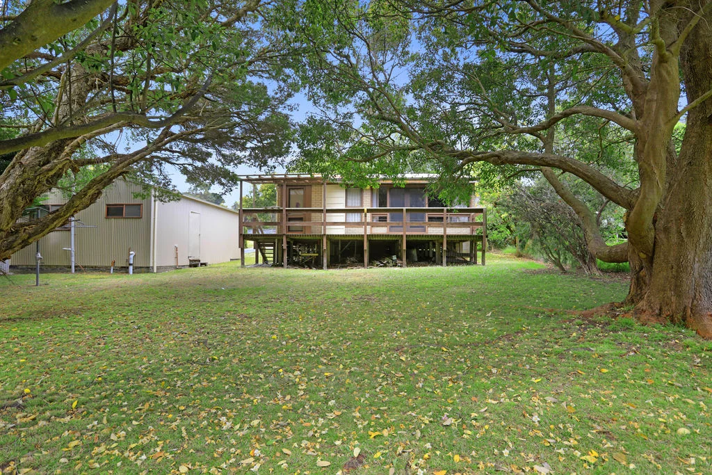 Image 11