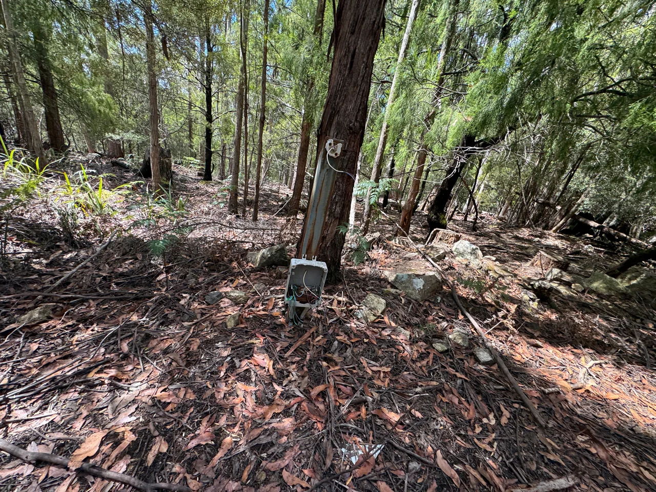 Image 6