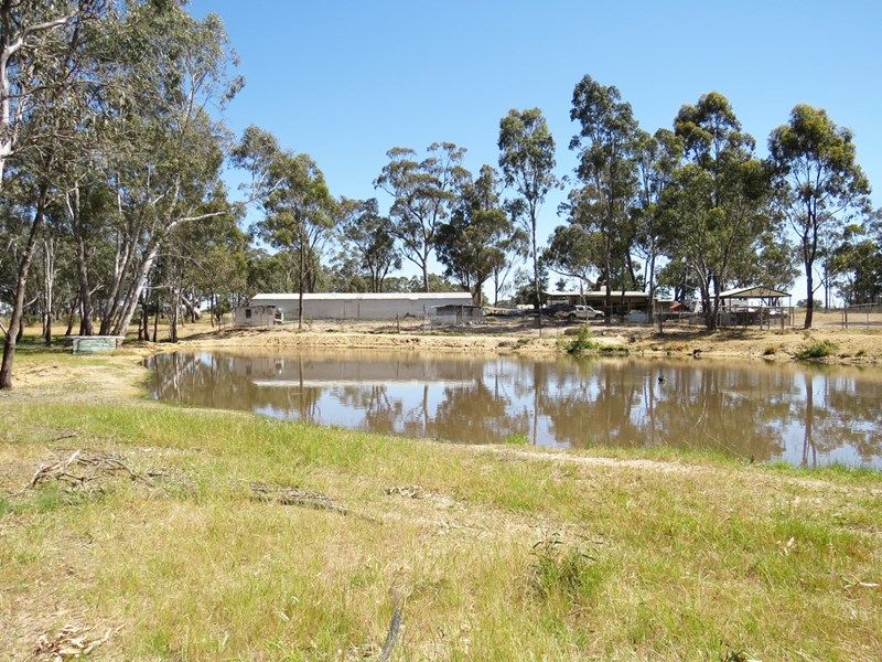 1216 SOUTH COSTERFIELD-GRAYTOWN ROAD, Graytown VIC 3608, Image 0