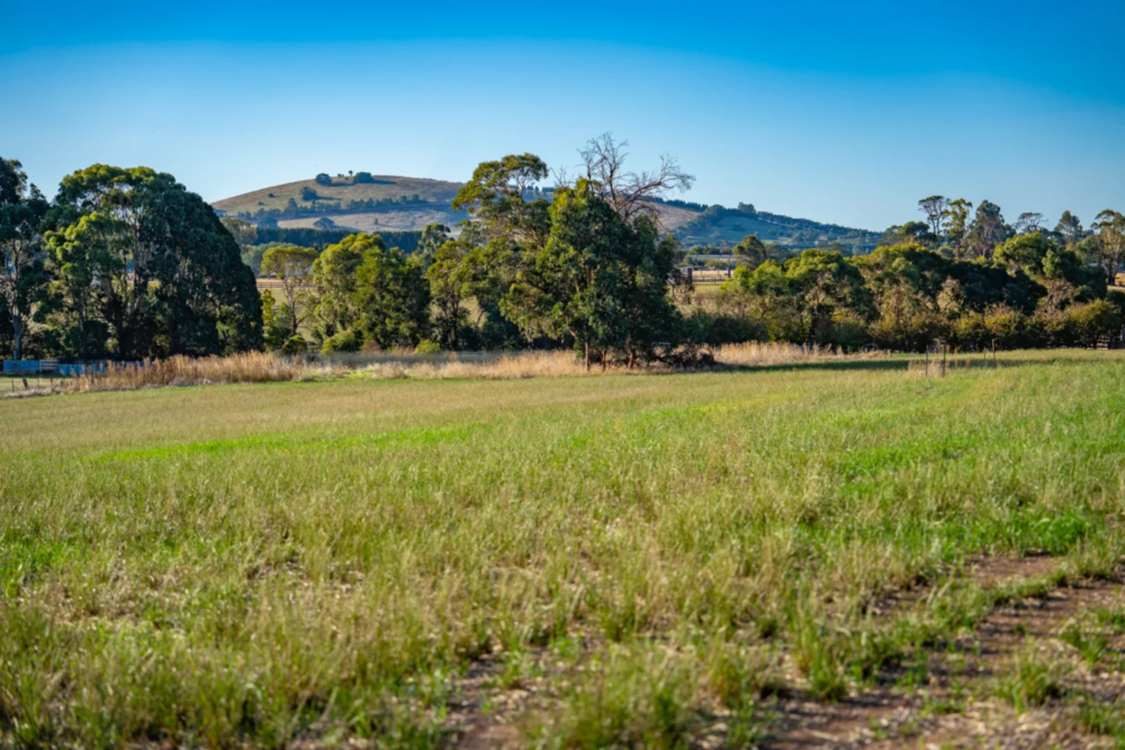 Additional image 12 of 180 Sharpes Road, Miners Rest VIC 3352