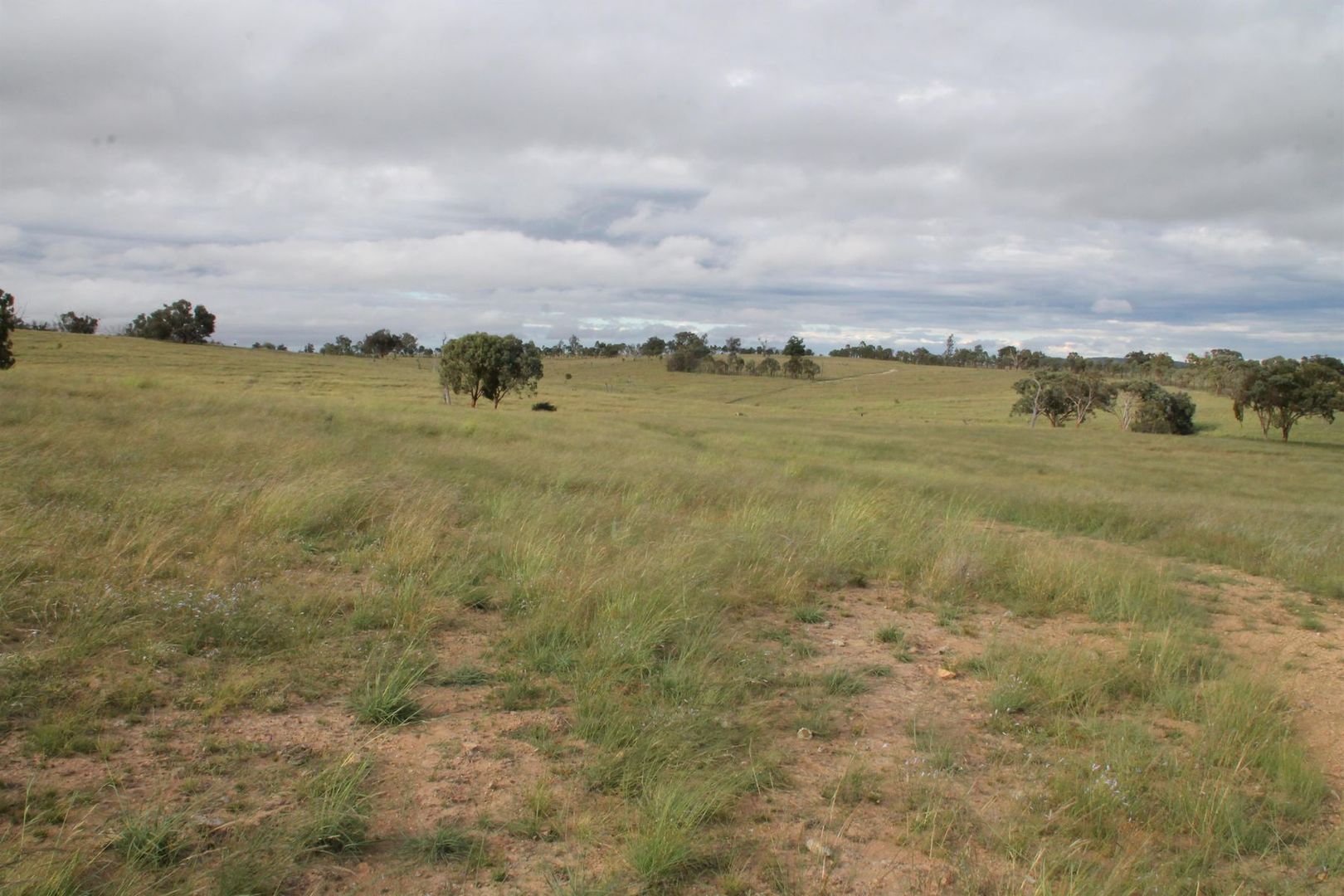 Lot 2 Mole Station Road, Tenterfield NSW 2372, Image 2