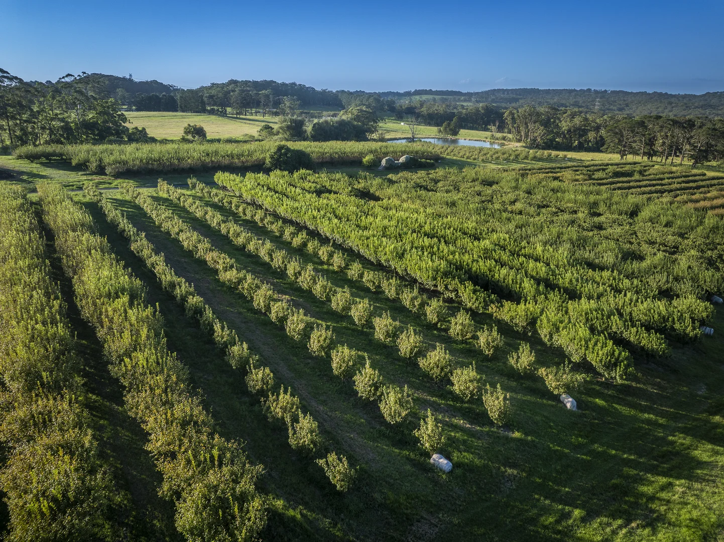 Additional image 19 of 1266 George Downes Drive, Kulnura NSW 2250