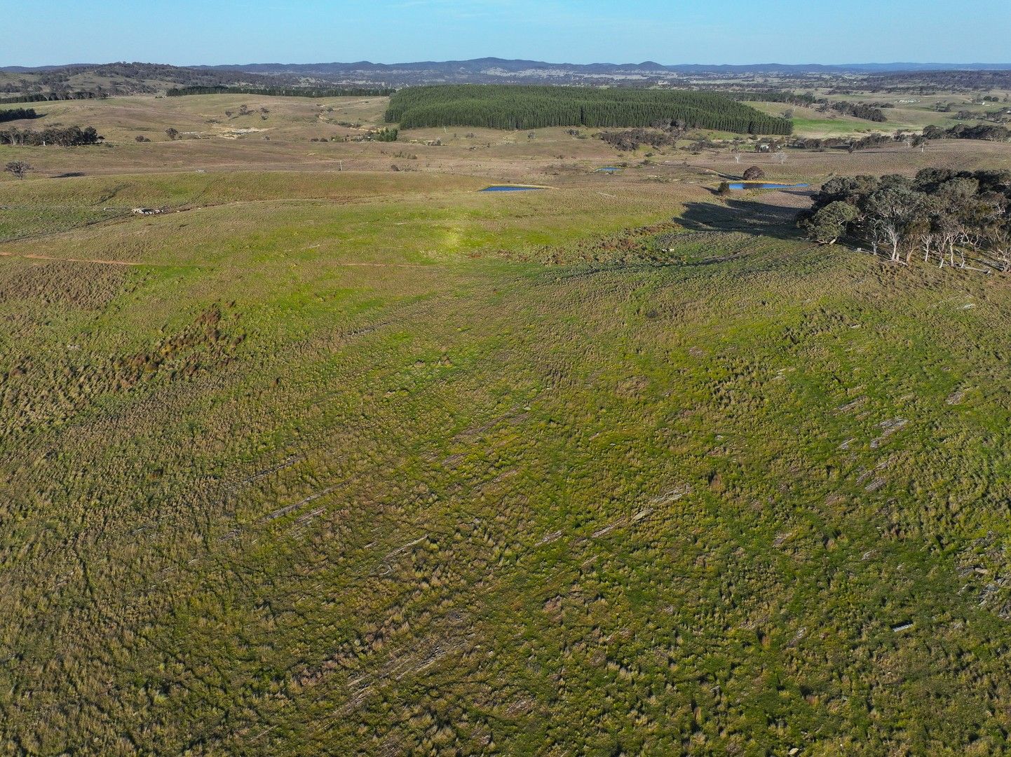 739 Berrebangelo Road, Yass River NSW 2582 House for Sale Domain