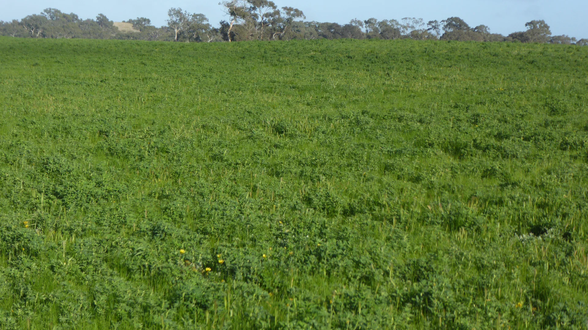Image 12