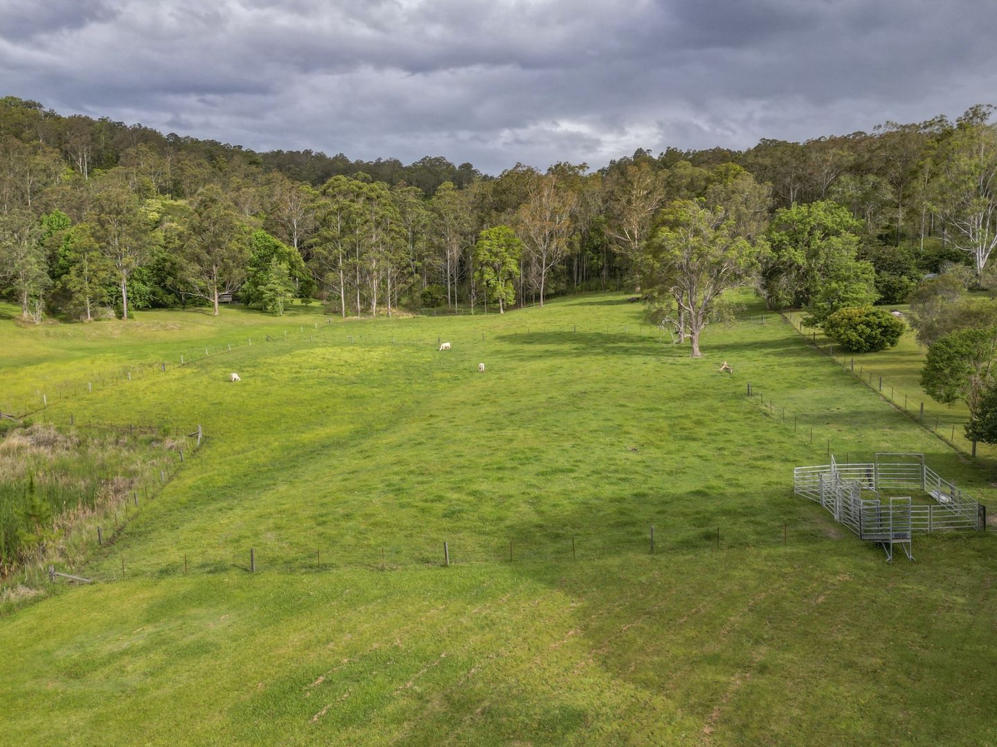 30 Tallowood Place, Glenreagh NSW 2450, Image 1