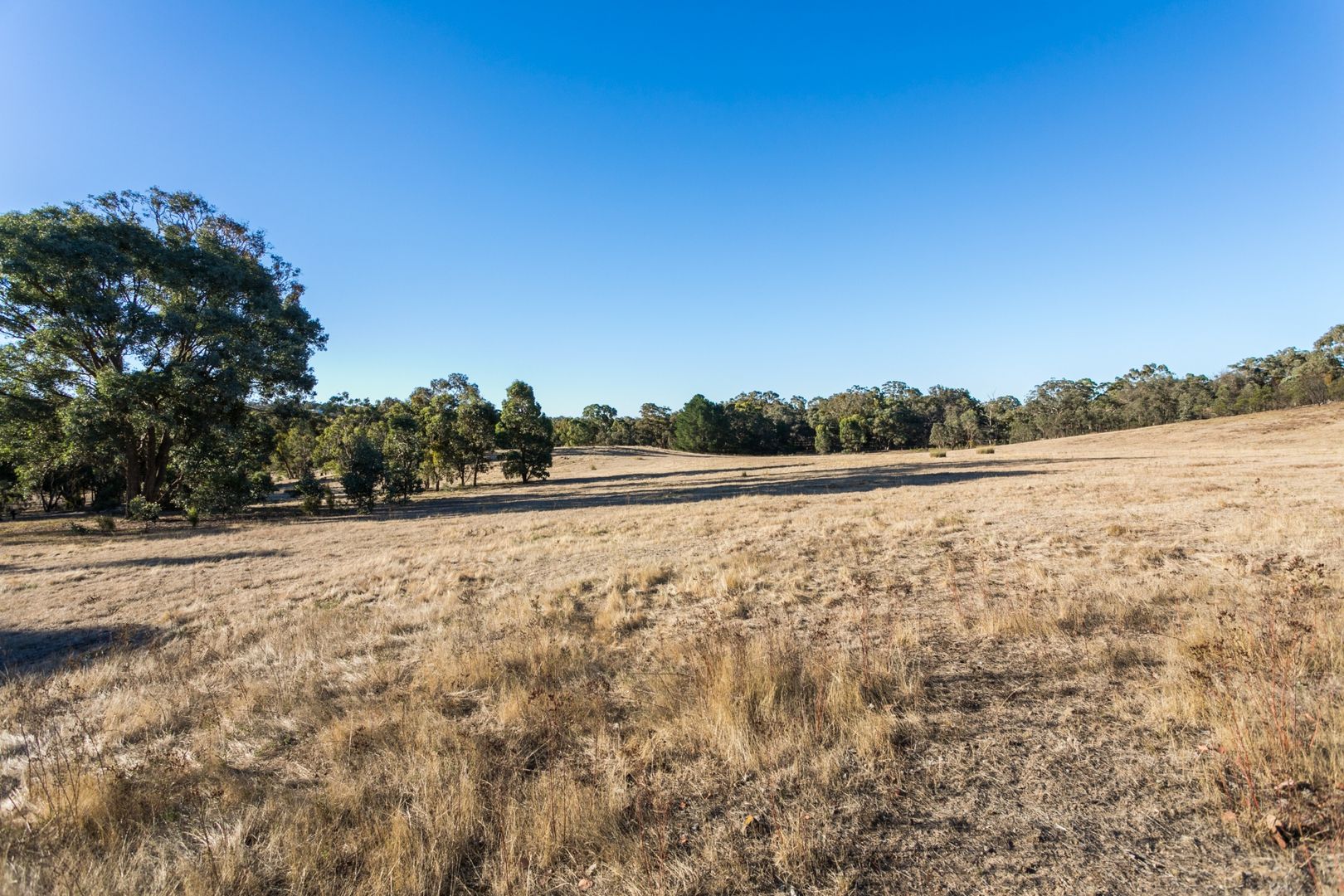 147 Yandoit Township Road, Yandoit VIC 3461, Image 1