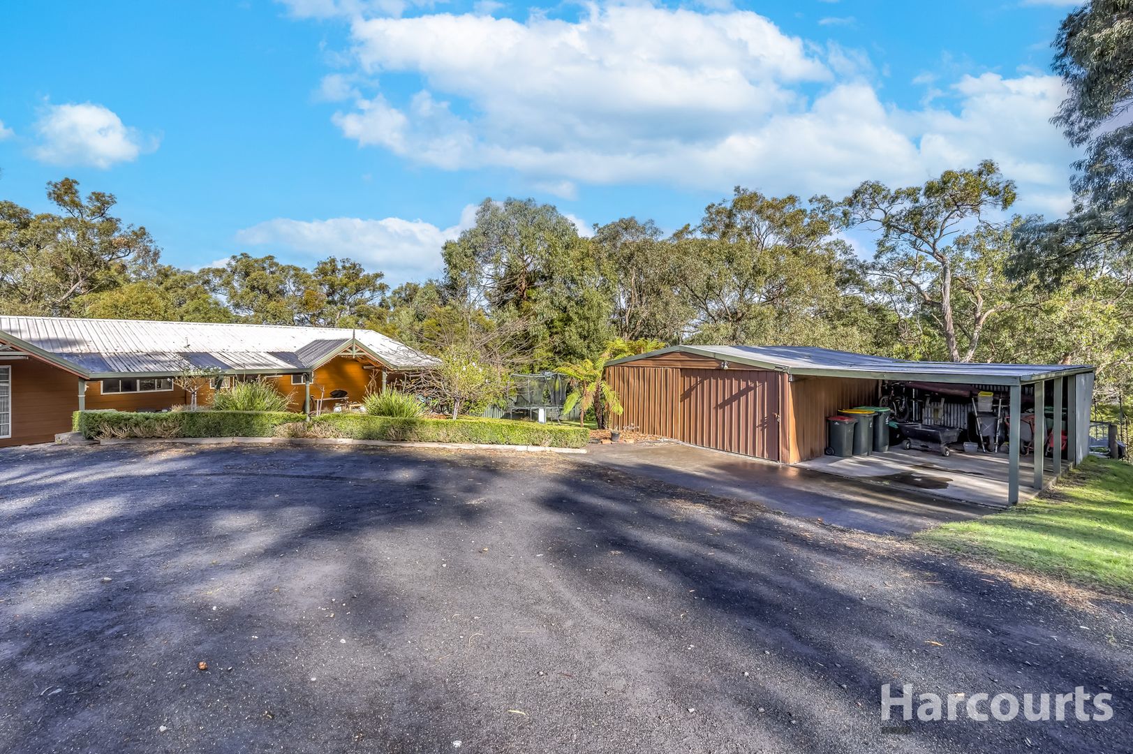 343 Becks Bridge Road, Tanjil South VIC 3825, Image 1