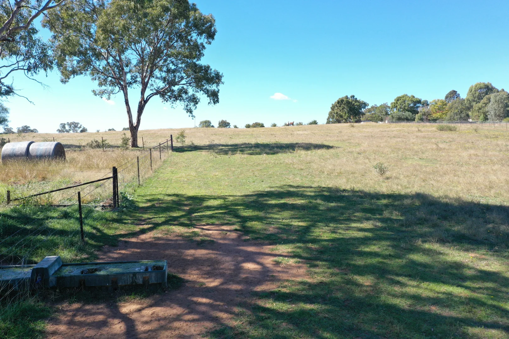 Additional image 22 of 216 Good Friday Gully Road Maimuru via, Young NSW 2594