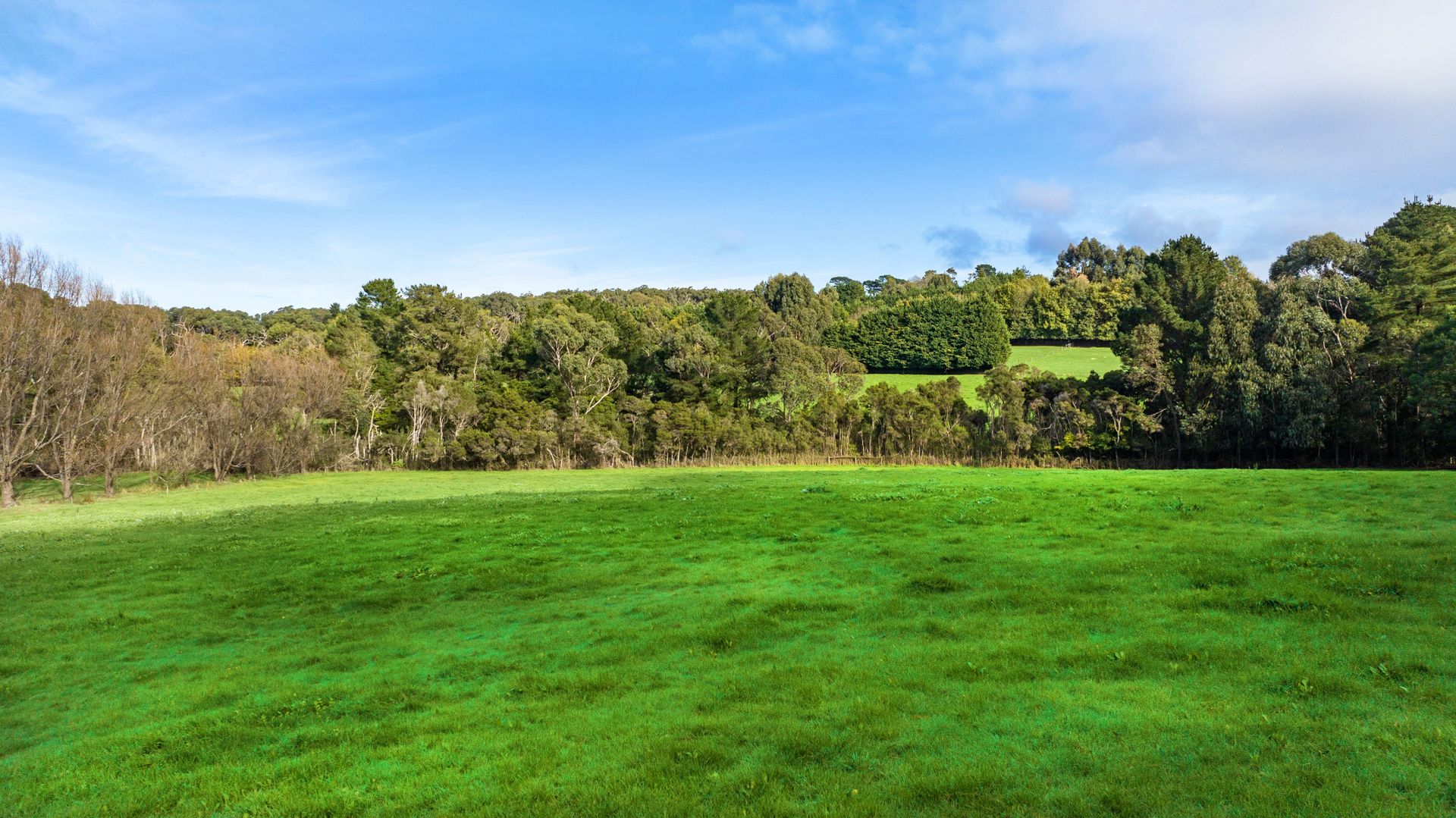 13 Kentucky Road, Merricks North VIC 3926 House for Sale Domain