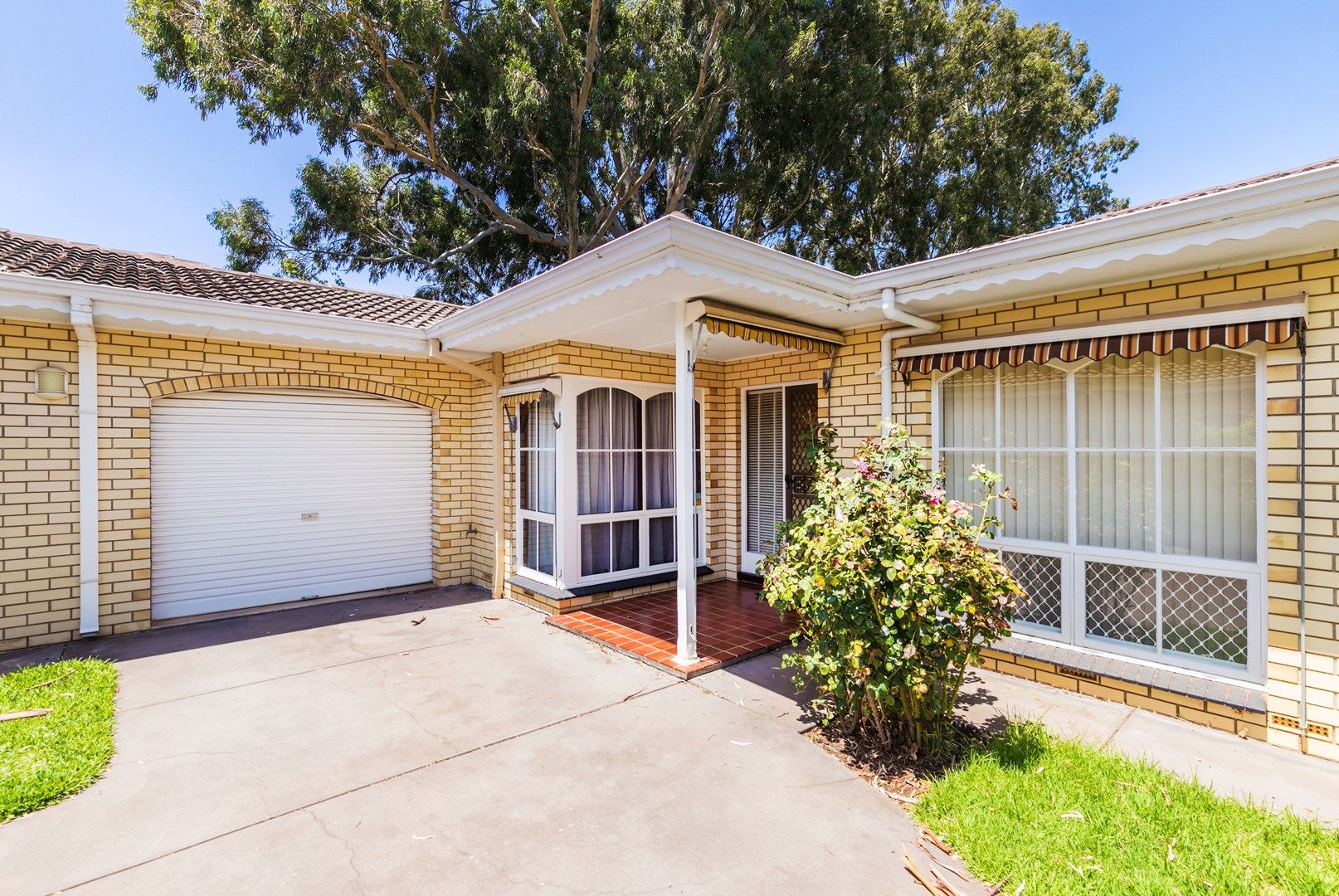 4/6-8 Orient Road, Kensington Gardens SA 5068, Image 0