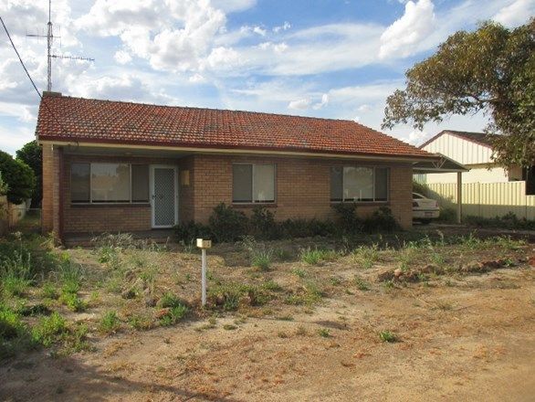 38 Amber Street, Katanning WA 6317, Image 0