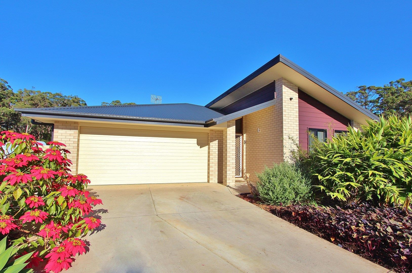 11 Wren Close, KEW NSW 2439, Image 0