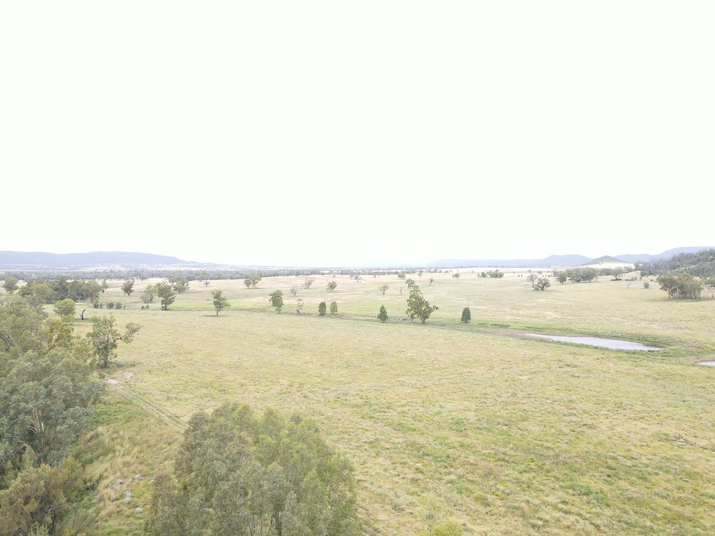 "Horton Valley" Aggregation, Upper Horton NSW 2347, Image 1